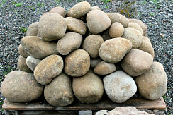 Kamenclub.ru: Песчаник ядра, фр. 100-300 мм  купить в Ярославле песчаник бежевый серый рыжий речная галька 5 000 руб/т   фото КАМЕНЬ КЛУБ