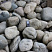 Kamenclub.ru: Речной валун (Ассорти) фр.100-300 мм.  купить в Ярославле галечник серый, темно-серый, светло-серый речная галька крупных размеров 4200 руб/т   фото КАМЕНЬ КЛУБ