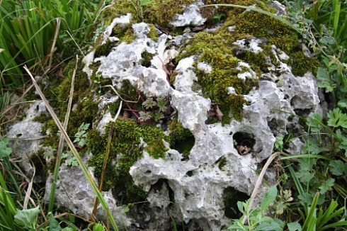 Kamenclub.ru: Выветренный известняк со мхом фр. 100-500 мм.  купить в Ярославле известняк серый белый зеленый валун известняковый крупный 10000 руб/т   фото КАМЕНЬ КЛУБ