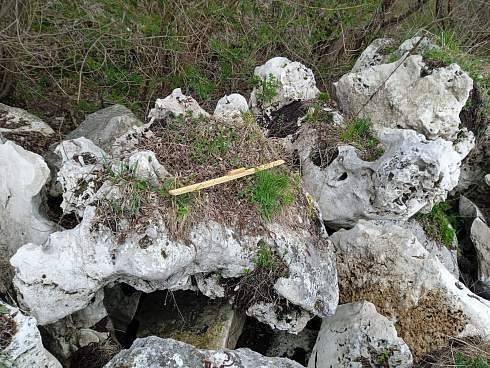 Kamenclub.ru: Выветренный известняк (степной) фр. 500-1500 мм.  купить в Ярославле    10000 руб/т   фото КАМЕНЬ КЛУБ