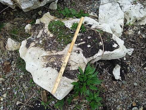 Kamenclub.ru: Выветренный известняк (степной) фр. 500-1500 мм.  купить в Ярославле    10000 руб/т   фото КАМЕНЬ КЛУБ