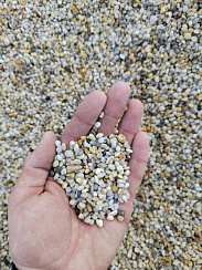 Галька крымская жемчужная фр. 3-5 мм.  купить в Ярославле фото Камень Клуб
