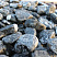 Kamenclub.ru: Щебень галтованный черный (мрамор) фр.20-40 мм.  купить в Ярославле мрамор черный с белыми прожилками мрамор окатанный округлый 15000 руб/т   фото КАМЕНЬ КЛУБ