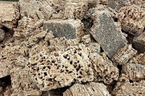 Kamenclub.ru: Крымский природный меотис фр. 100-500 мм.  купить в Ярославле меотис бежевый рыжий молочный желтый ракушечник 4 500 руб/т   фото КАМЕНЬ КЛУБ