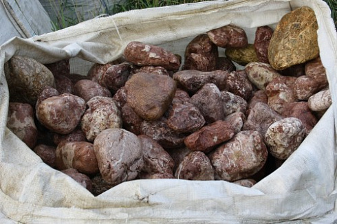 Kamenclub.ru: Розовый валунчик фр.100-300 мм.  купить в Ярославле крупный природный камень розовый, серый молочный красный речной галечник природный 7850 руб/т   фото КАМЕНЬ КЛУБ