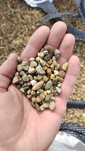 Kamenclub.ru: Галька окат (серо-желтая) фр.5-10 мм. купить  в Ярославле галька речная рыжий, желтый, рыжий, серо-желтый речная окатанная галька декоративная 5000 руб/т   фото КАМЕНЬ КЛУБ